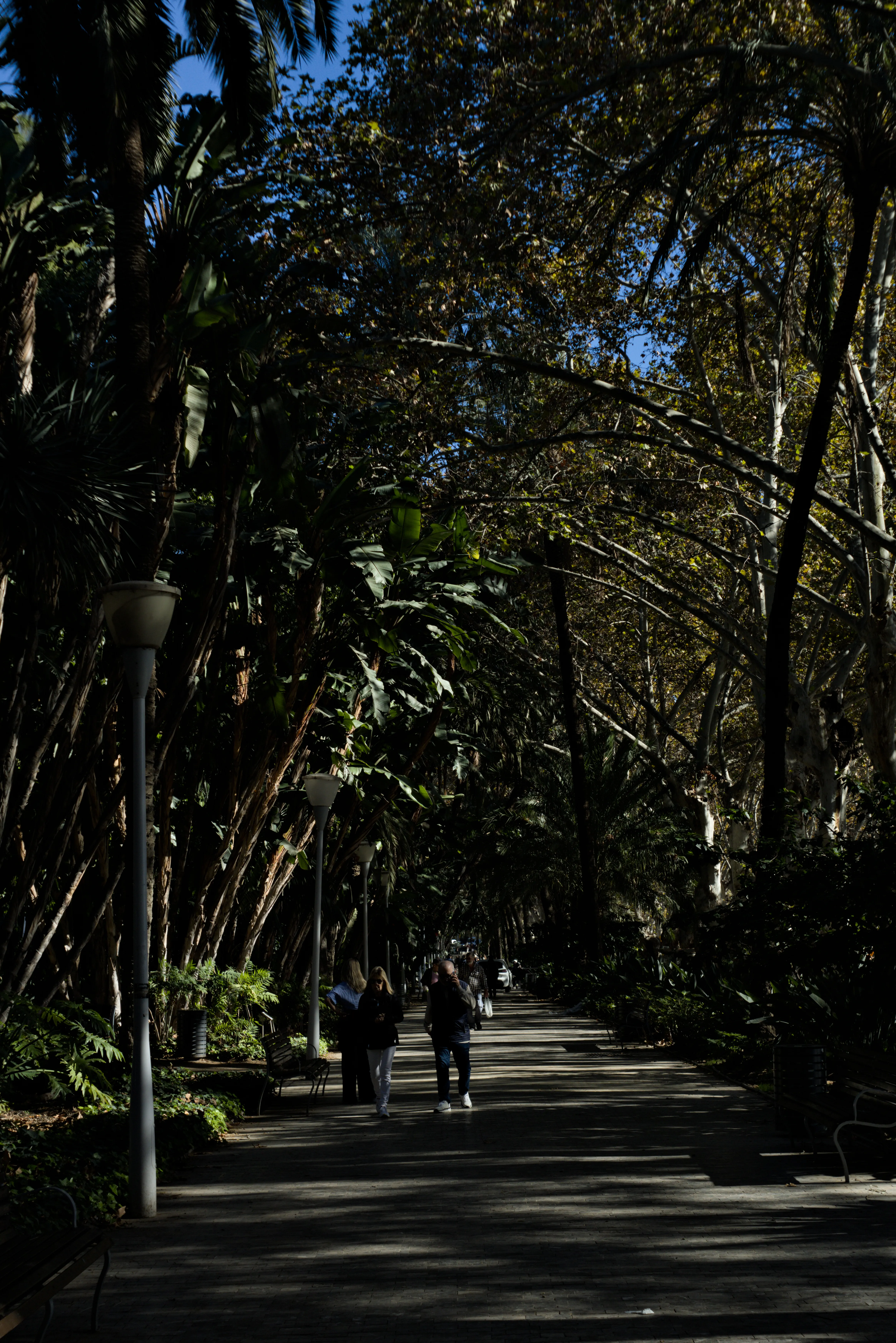 Meyer-Optik Görlitz Primagon 35mm f4.5 (M42) - _I4A3053.webp